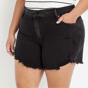 NWT Kancan Shorts